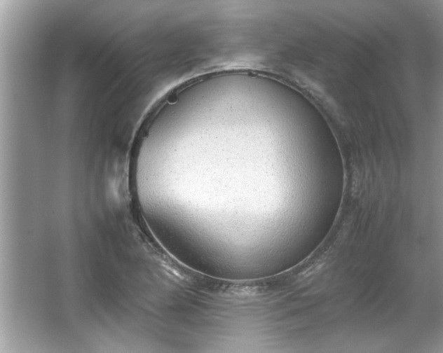 X0000067381174200604031052