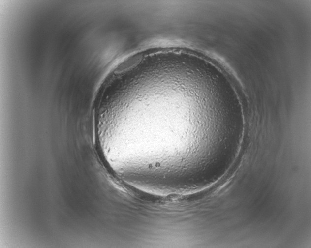 X0000067381175200604031052