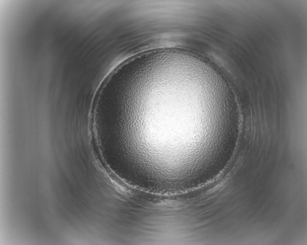X0000067381178200604031051