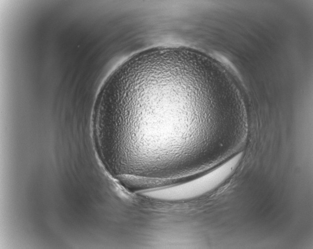 X0000067381183200604031051