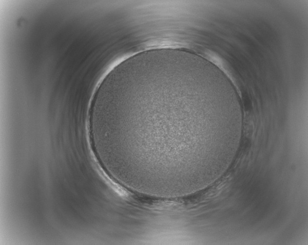 X0000067381187200604031051
