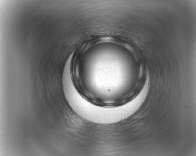 X0000067381202200604031050