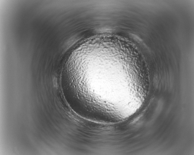 X0000067381209200604031050