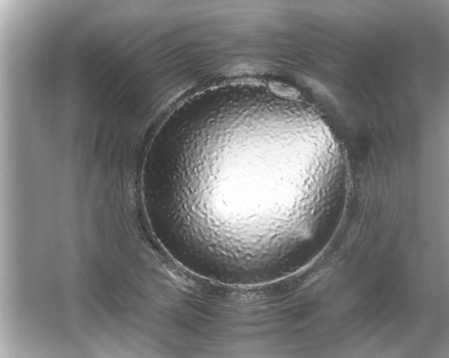 X0000067381217200604031051