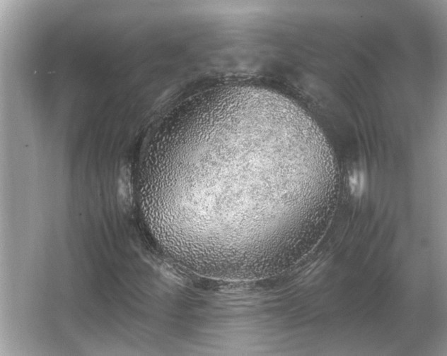 X0000067381252200604031050