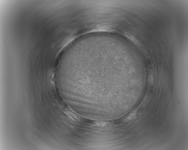 X0000067381258200604031050