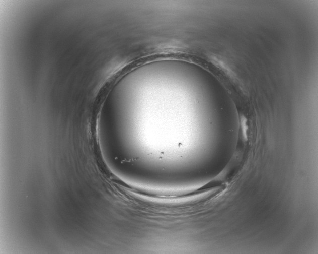 X0000067381261200604031050