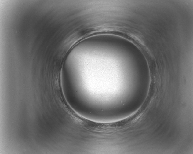 X0000067381273200604031050