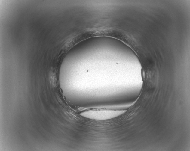 X0000067381300200604031049