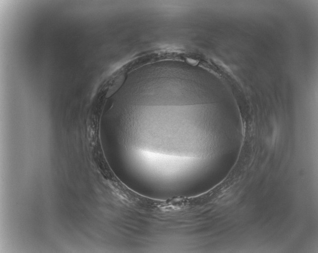 X0000067381303200604031049