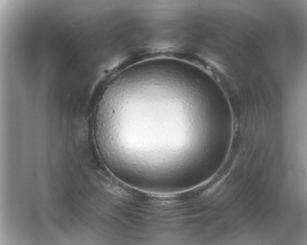 X0000067381309200604031049
