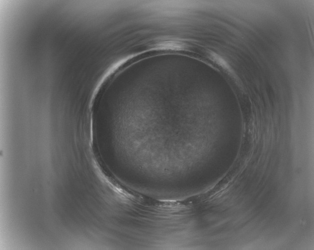 X0000067381323200604031049