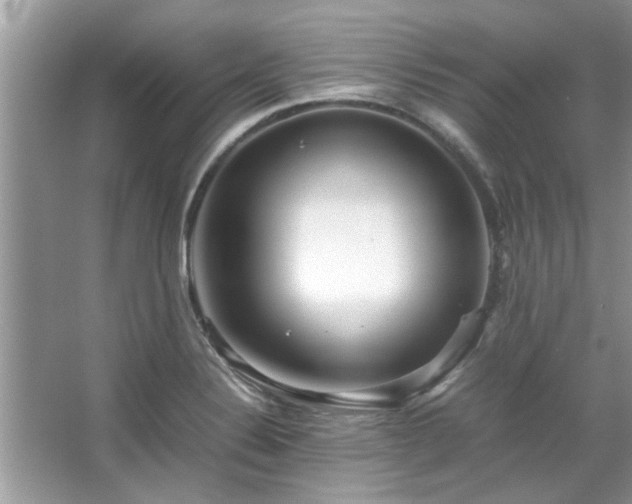 X0000067381324200604031049