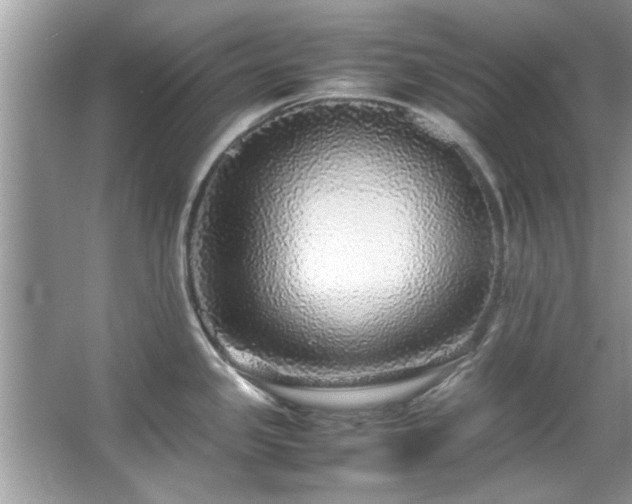 X0000067381341200604031049