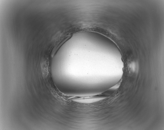 X0000067381348200604031049