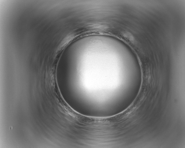 X0000067381354200604031048