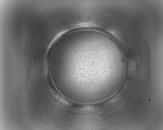 X0000067381358200604031048