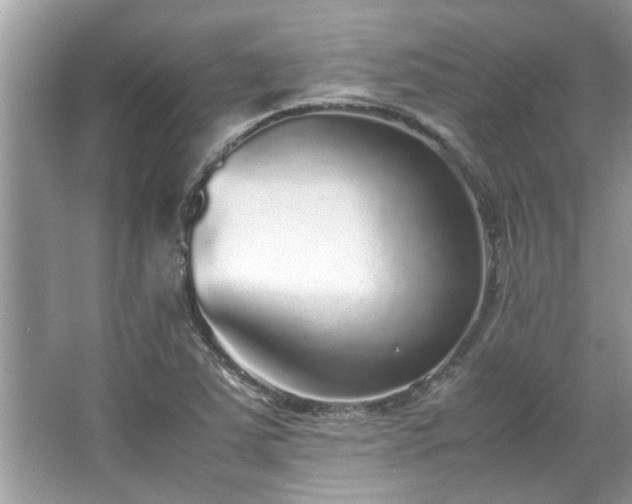 X0000067381363200604031048