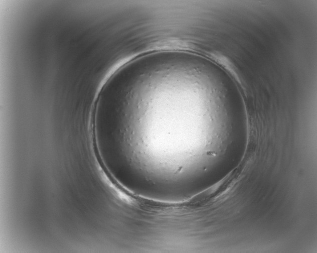 X0000067381387200604031048