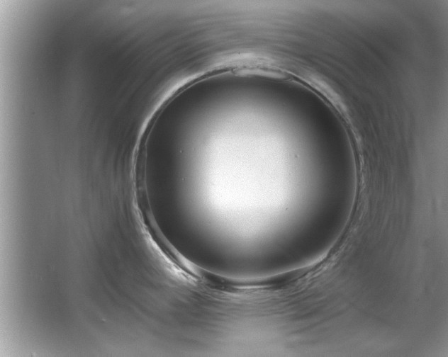 X0000067381392200604031048
