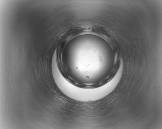 X0000067381394200604031047