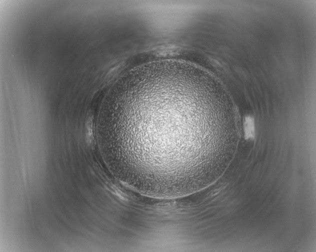 X0000067381444200604031047