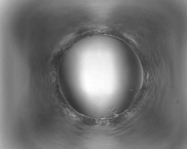 X0000067381447200604031047