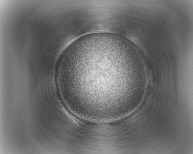 X0000067381452200604031047