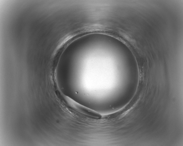 X0000067381453200604031047