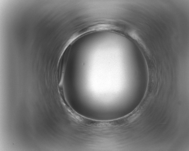 X0000067381473200604031046