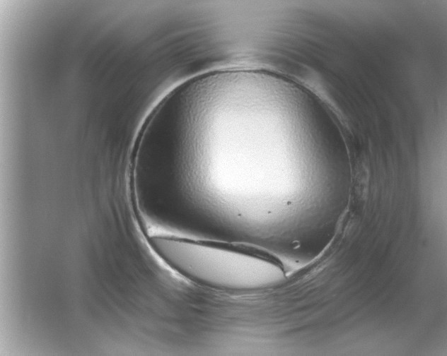 X0000067381484200604031046