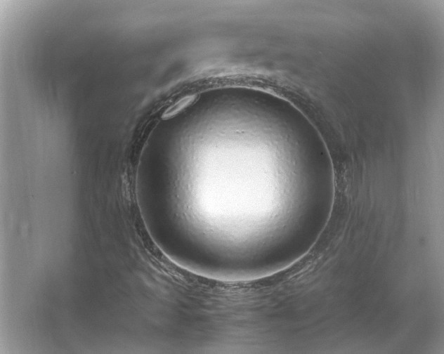 X0000067381493200604031045