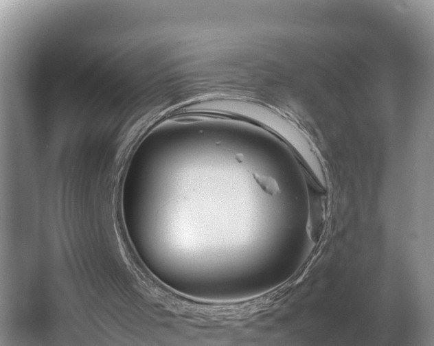 X0000067380001200604071740