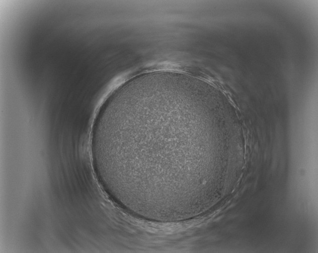 X0000067380006200604071739