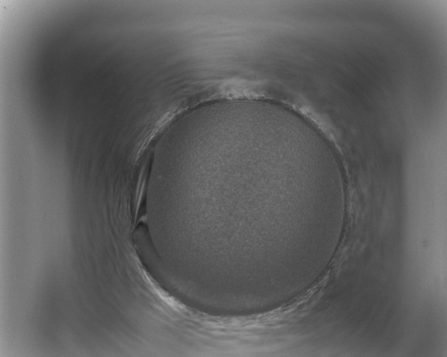 X0000067380009200604071739