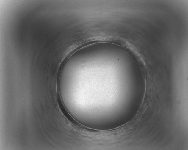 X0000067380011200604071739