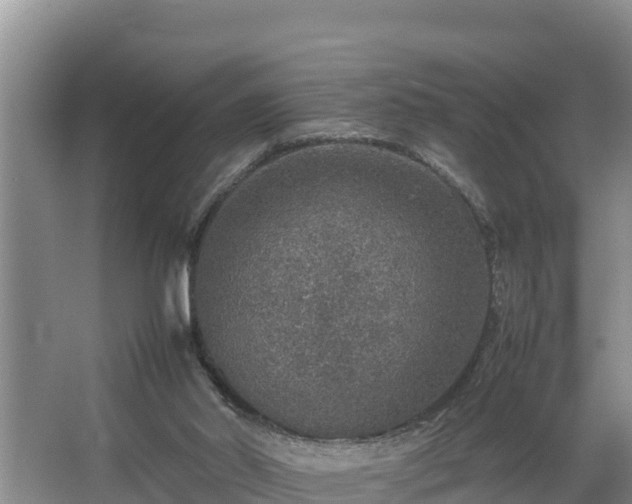 X0000067380014200604071739