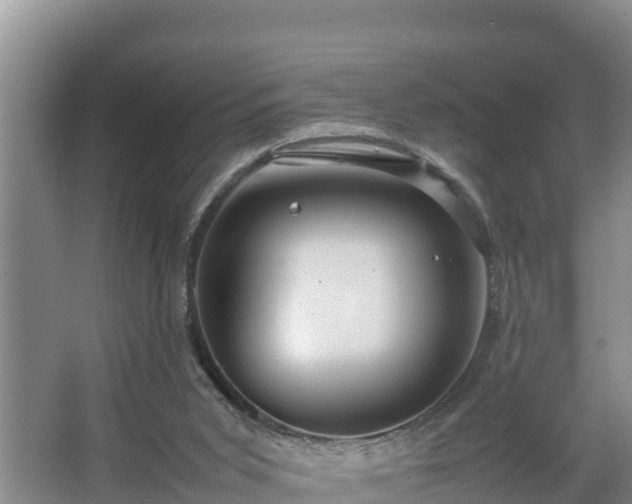 X0000067380015200604071739