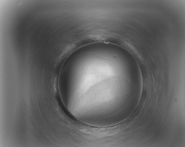 X0000067380023200604071739