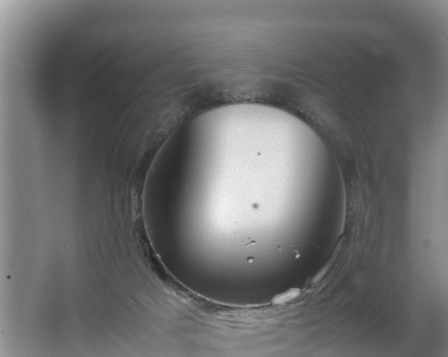 X0000067380025200604071739