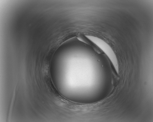 X0000067380033200604071739