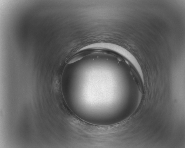 X0000067380037200604071739