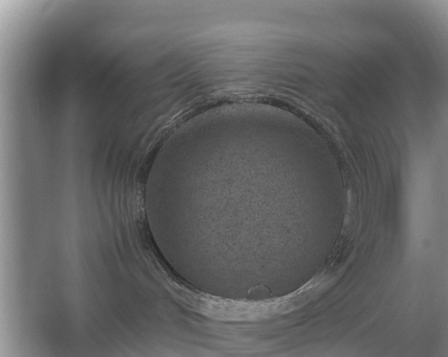 X0000067380048200604071739