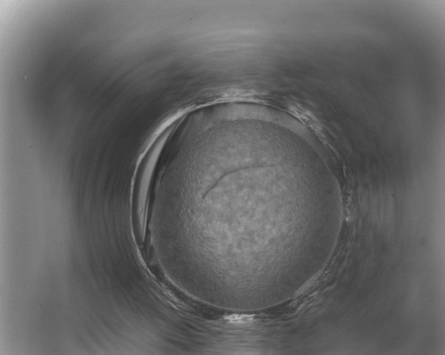 X0000067380052200604071738