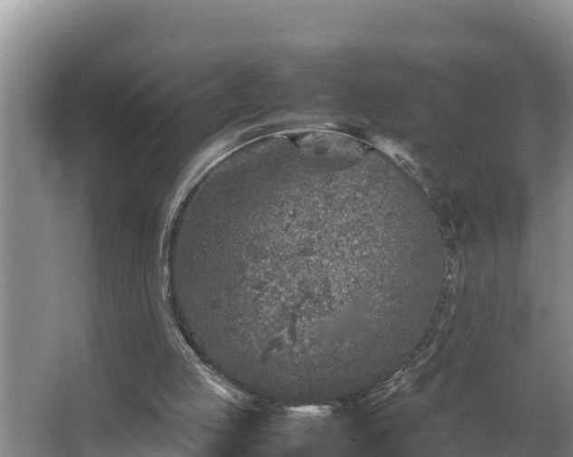 X0000067380053200604071738