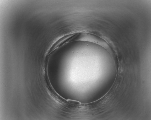 X0000067380060200604071738