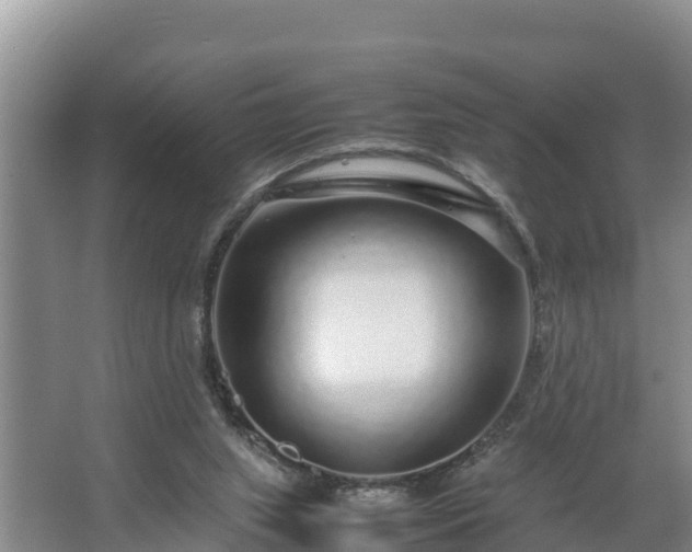 X0000067380063200604071738