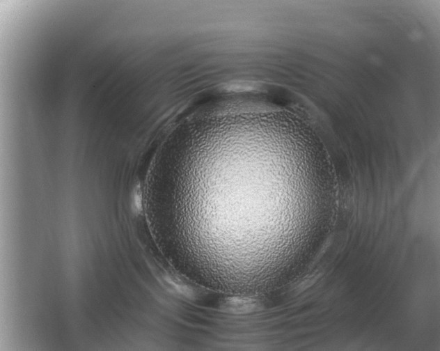 X0000067380095200604071739