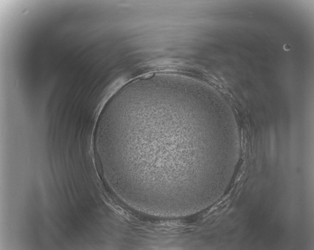 X0000067380099200604071738