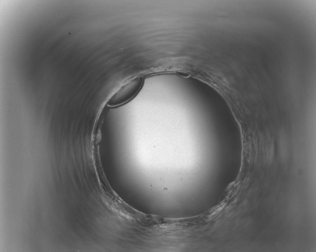 X0000067380100200604071738